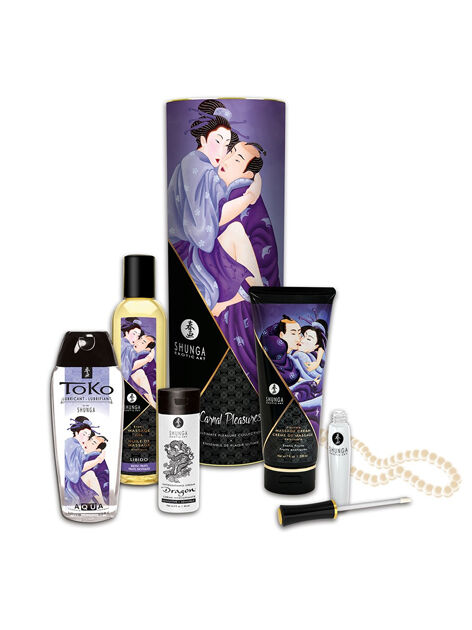 Shunga Kit Carnal Pleasure